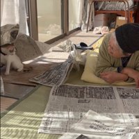 猫を見つめるおばあちゃん