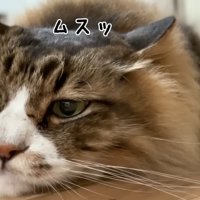 ムスッ