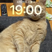 19時のゆたくん