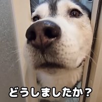 何かありましたか？