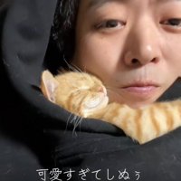 人に抱き着いて寝ている子猫