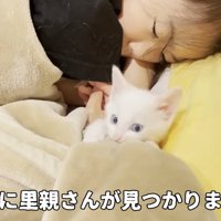 子猫と寝る女の子