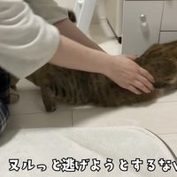ぬるっと逃げるみにらくん