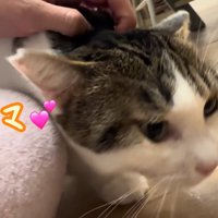 テロップ「ママ」