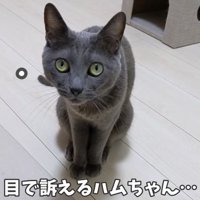 ママにはテレパシー