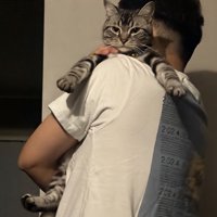 男性に抱っこされる寝起きの猫