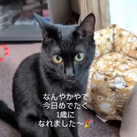しまい忘れ