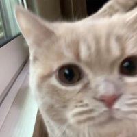 近づいてくるむぎちゃん