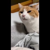 こちらに視線を