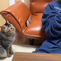 ちょこんとお座り