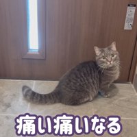 痛い痛いなる