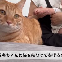 赤ちゃんの隣にいる猫
