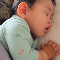 布団に入ってぐっすり眠る赤ちゃん
