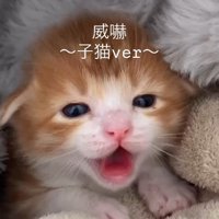 毛布の間から顔を出して口を開けるむぎくん