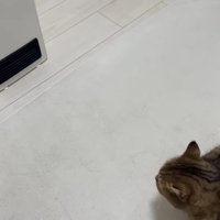 ヒーターから少し離れて