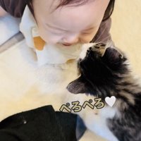 赤ちゃんの頬を舐める子猫