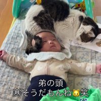 赤ちゃんと猫