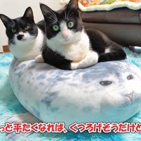 今から9日前