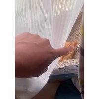 箱の中の猫たち