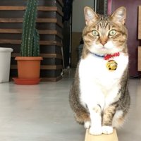 おすわり