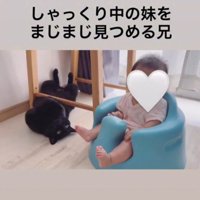 猫と子ども1