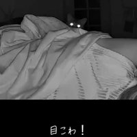 目だけ光る猫