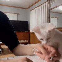 どけられる