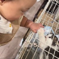 手と手で触れあう赤ちゃん同士