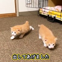 探索