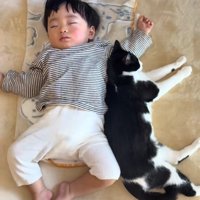 寝ている赤ちゃんに背中をくっつけて眠る猫