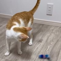 立ち上がる善くん