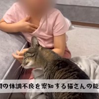 テロップ「人間の体調不良を～」