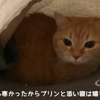 テロップ「ママも寒かったから～」
