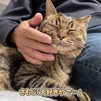 大好きやで…