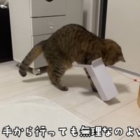 手から行っても