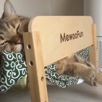 ベッドで寝ている猫
