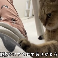 「横腹かいてくれて...」のテロップ写真