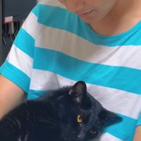 男の子と黒猫