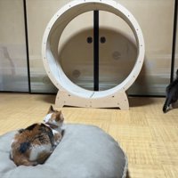 襖の方へ