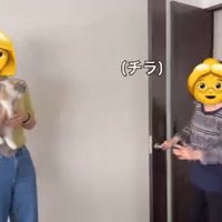 猫を抱っこする女性とおばあちゃん