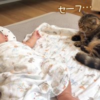 セーフ…