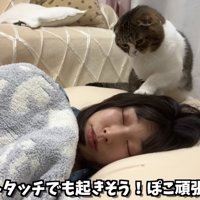 ママを起こすぽこ太郎くん