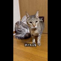 出てきたゆずくん