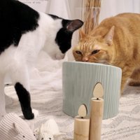 必死の形相でおやつを舐める猫と横で見ている白黒猫