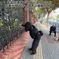 観戦し始めるお爺さん