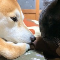 至近距離のふたり