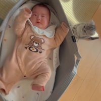 ベビーベッドで寝ている赤ちゃんを見ている子猫