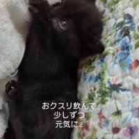 回復期