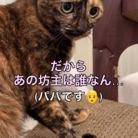 誰なの