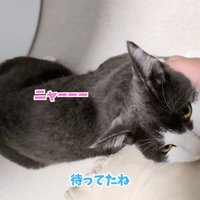 テロップ「待ってたね」